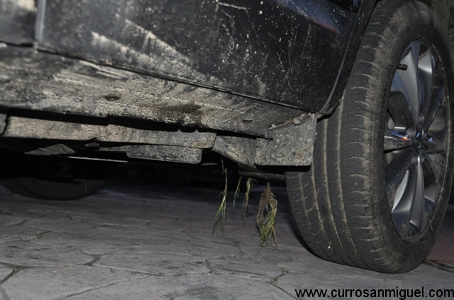 Atraída por el magnetismo de nuestro coche, una parte de campo se vino con nosotros