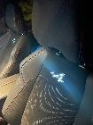 Lo de la A iluminada en los asientos delanteros es un detalle muy original y vistoso. 